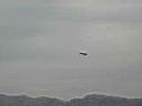 PB150038.JPG