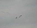 PB150040.JPG