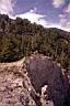 Image5.jpg