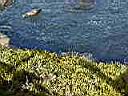 PC020078.JPG