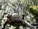 PC010005.JPG