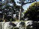 PC010008.JPG