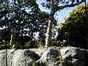 PC010009.JPG