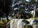 PC010010.JPG