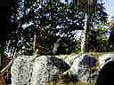 PC010011.JPG