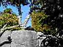 PC010012.JPG