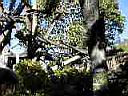 PC010013.JPG