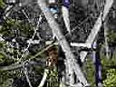 PC010016.JPG