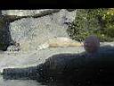 PC010027.JPG