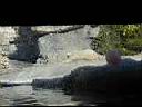 PC010028.JPG