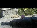 PC010029.JPG