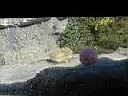 PC010030.JPG