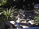 PC010049.JPG