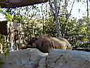 PC010054.JPG