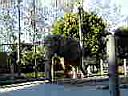 PC010059.JPG