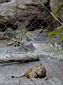 PC010067.JPG