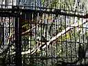 PC010073.JPG