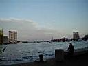 P9180047.JPG